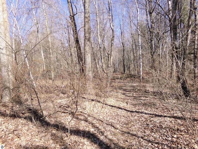 view of nature