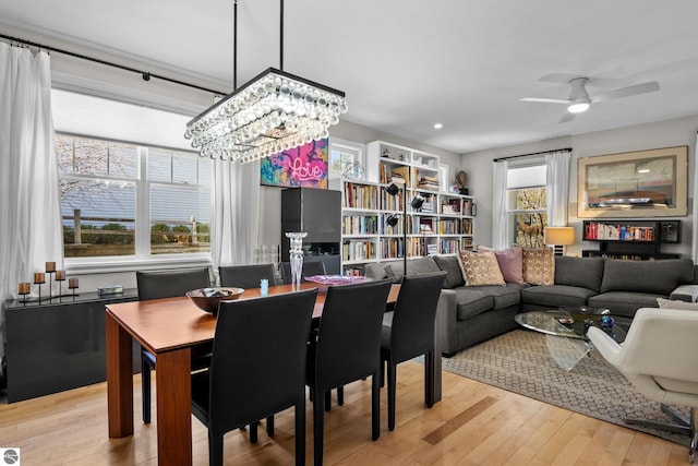 dining area with hardwood / wood-style floors, a chandelier, and a ceiling fan