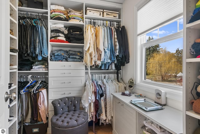 view of closet