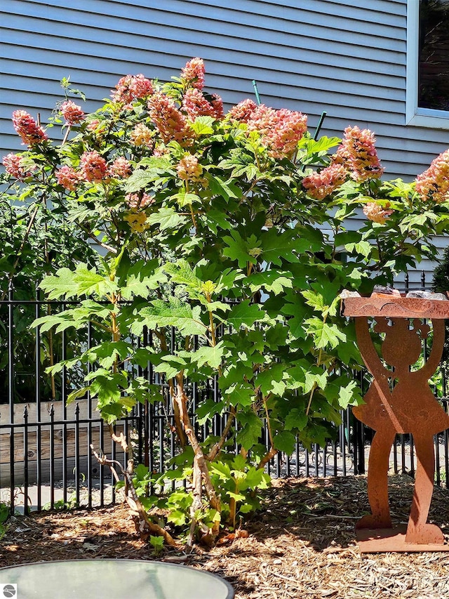exterior view of fence
