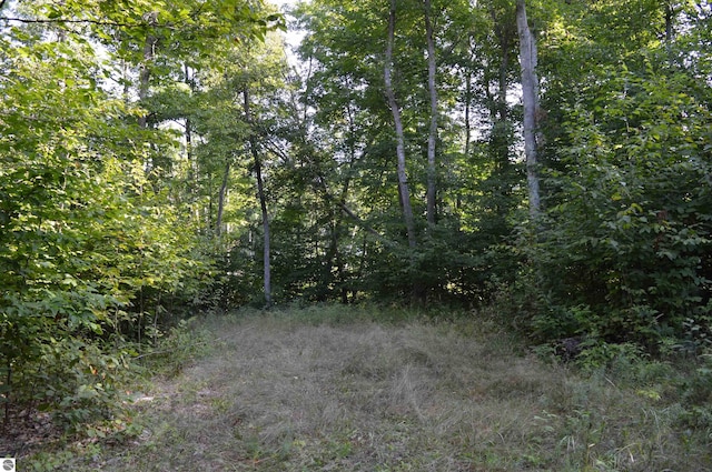 W Leonard Rd, Mancelona, MI 49659