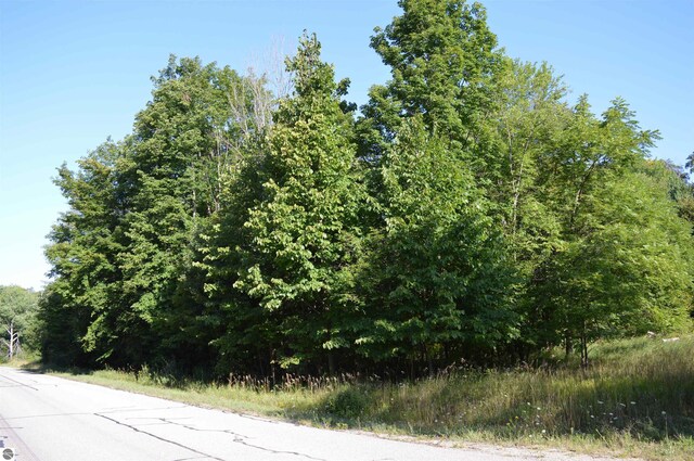 W Leonard Rd, Mancelona, MI 49659