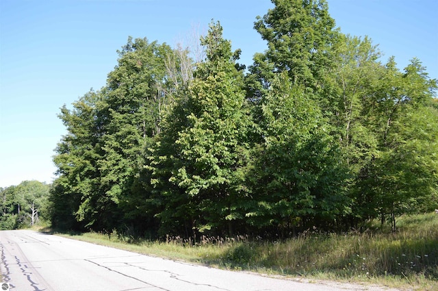 W Leonard Rd, Mancelona, MI 49659