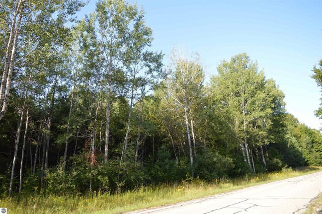 W Leonard Rd, Mancelona, MI 49659