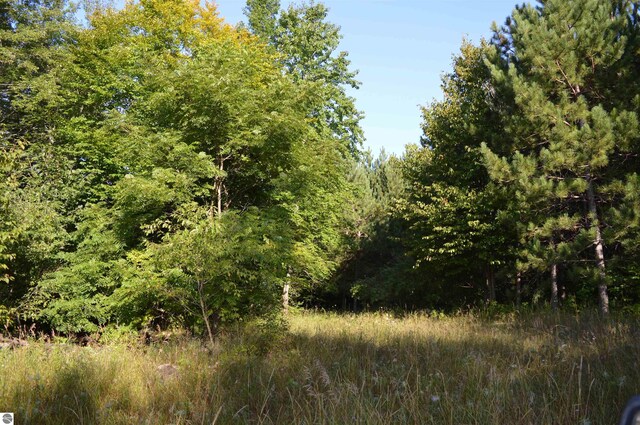W Leonard Rd, Mancelona, MI 49659