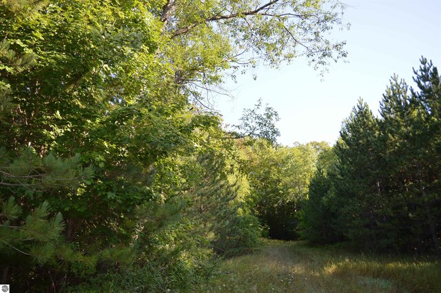 W Leonard Rd, Mancelona, MI 49659