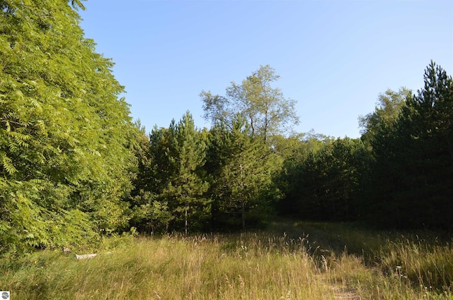 W Leonard Rd, Mancelona, MI 49659