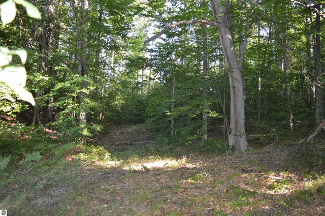 W Leonard Rd, Mancelona, MI 49659