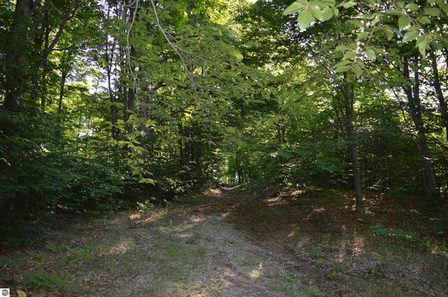 W Leonard Rd, Mancelona, MI 49659