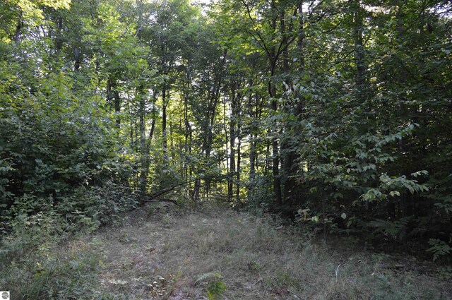 W Leonard Rd, Mancelona, MI 49659