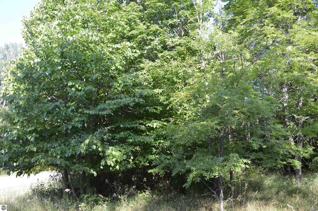 W Leonard Rd, Mancelona, MI 49659