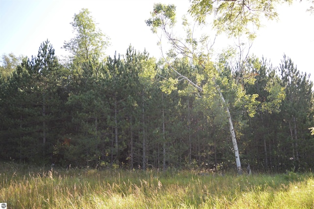 W Leonard Rd, Mancelona, MI 49659