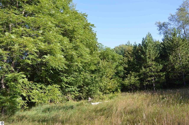 W Leonard Rd, Mancelona, MI 49659