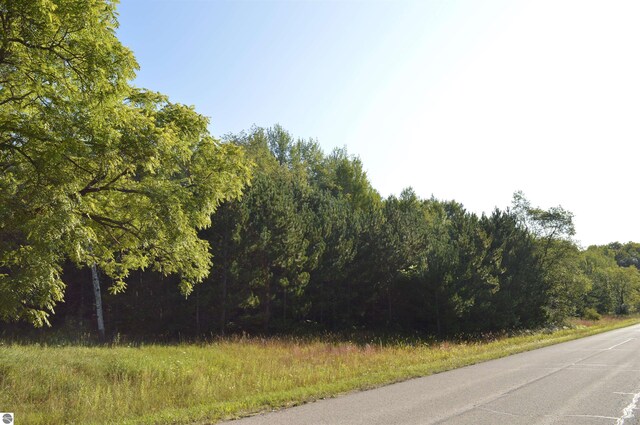 W Leonard Rd, Mancelona, MI 49659