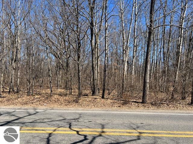 1004 Duquesa Dr, Weidman, MI 48893