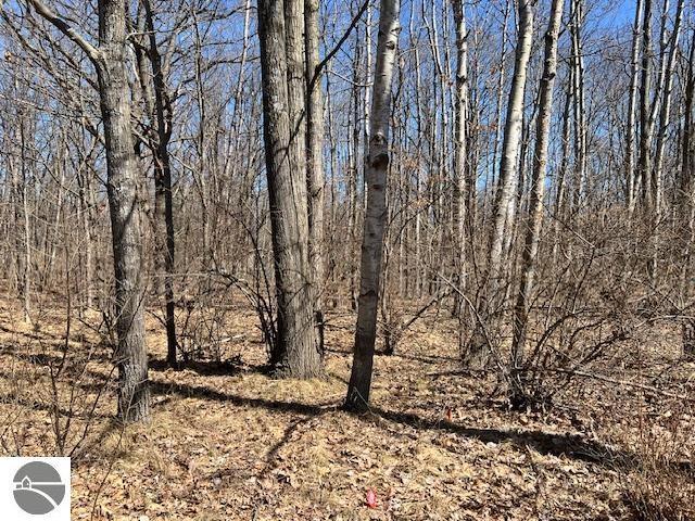1004 Duquesa Dr, Weidman, MI 48893
