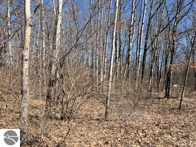 1004 Duquesa Dr, Weidman, MI 48893