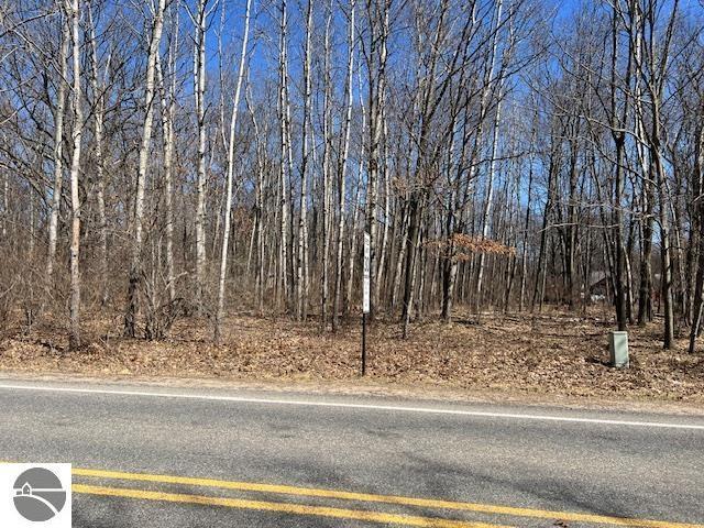 1004 Duquesa Dr, Weidman, MI 48893