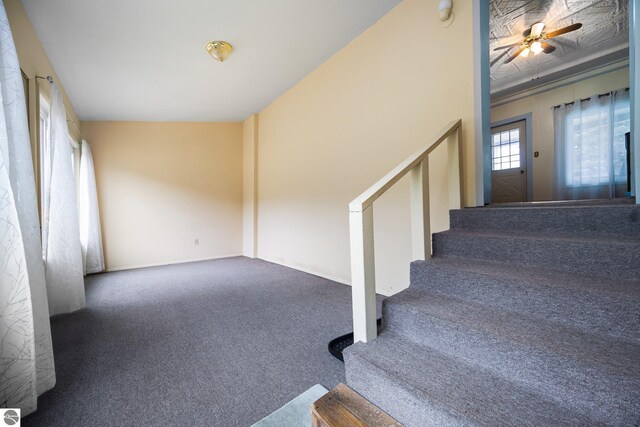 stairs featuring carpet flooring and a ceiling fan