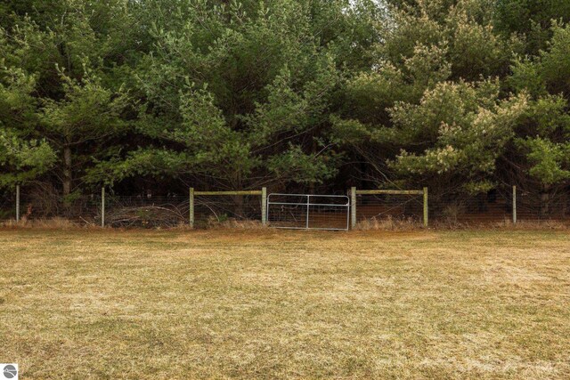 view of yard with a gate