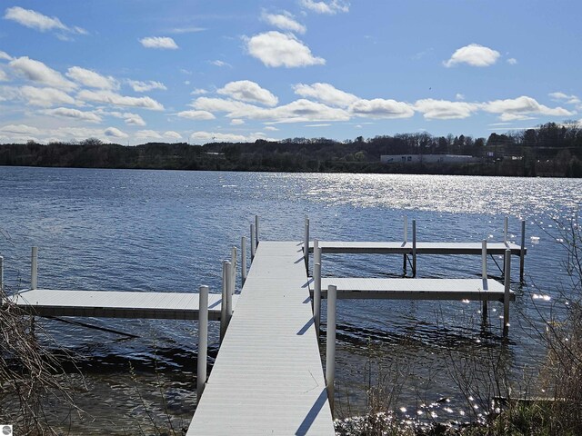 1443 Newport St Unit 10, Traverse City, MI 49686 - dock area with a water view