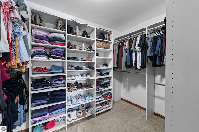 800 Evart St, Cadillac, MI 49601 - spacious closet with carpet flooring