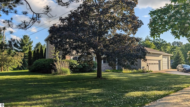 800 Evart St, Cadillac, MI 49601 - view of property hidden behind natural elements featuring an attached garage, concrete driveway, and a front yard