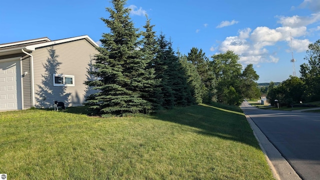 800 Evart St, Cadillac, MI 49601 - exterior space featuring a yard and a garage