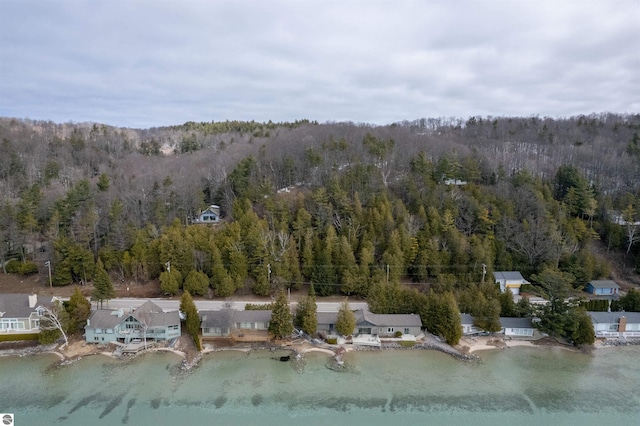 1137 Crystal Dr, Frankfort, MI 49635 - bird's eye view with a forest view and a water view