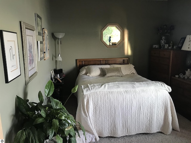 1137 Crystal Dr, Frankfort, MI 49635 - view of carpeted bedroom