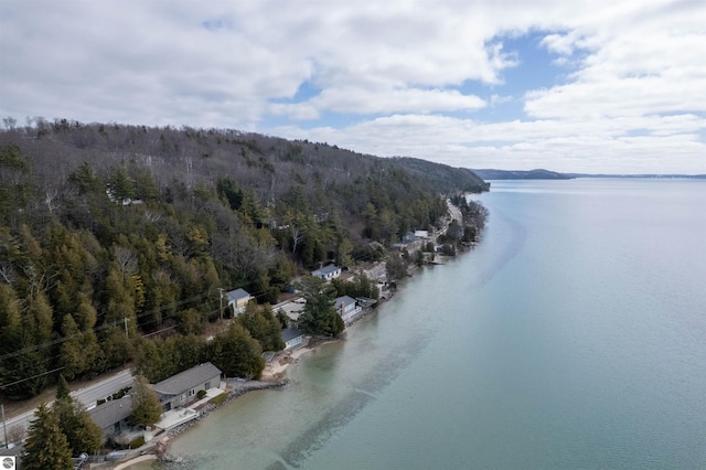 1137 Crystal Dr, Frankfort, MI 49635 - aerial view featuring a forest view and a water view