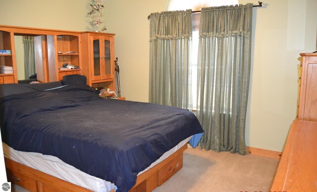 102 James Sq, Roscommon, MI 48653 - bedroom with carpet