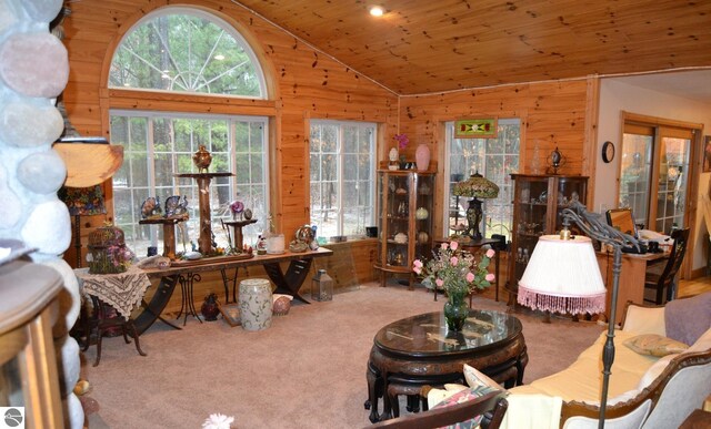 102 James Sq, Roscommon, MI 48653 - living room with healthy amount of natural light, wood walls, carpet floors, wood ceiling, and high vaulted ceiling