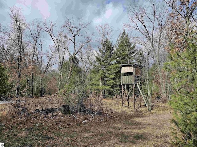 view of yard with a forest view