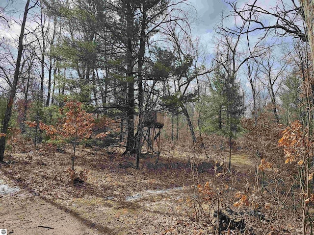view of local wilderness