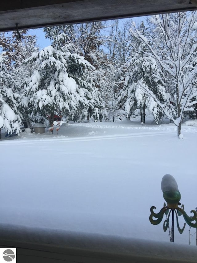 view of yard covered in snow