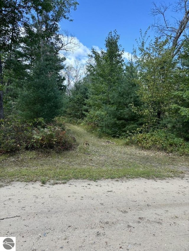 view of local wilderness