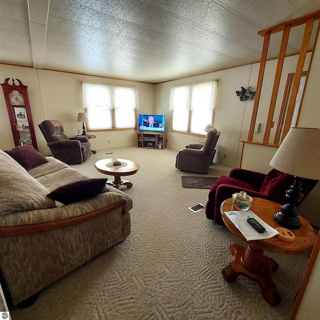 4548 Goldenrod Dr, Traverse City, MI 49686 - living area featuring carpet