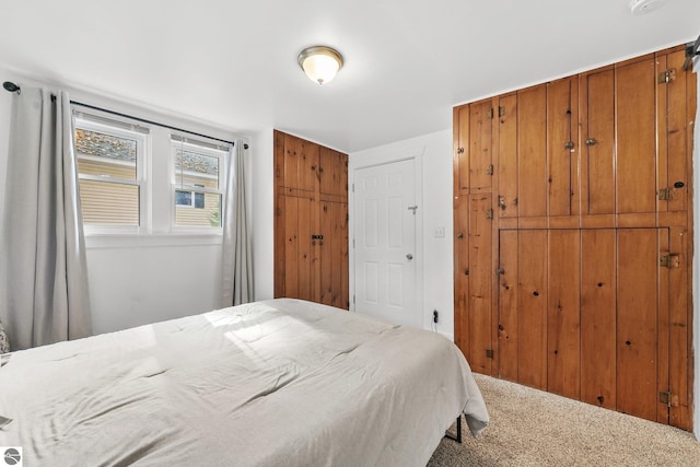 bedroom with carpet floors