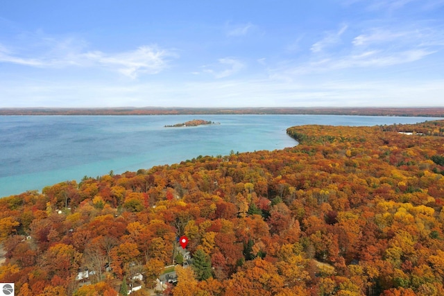 bird's eye view with a water view and a forest view
