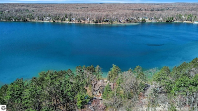 10334 N Twin Lake Rd NE, Mancelona, MI 49659 - aerial view of property's location featuring a forest and a large body of water