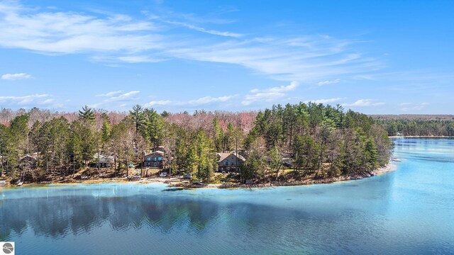 10334 N Twin Lake Rd NE, Mancelona, MI 49659 - water view with a heavily wooded area