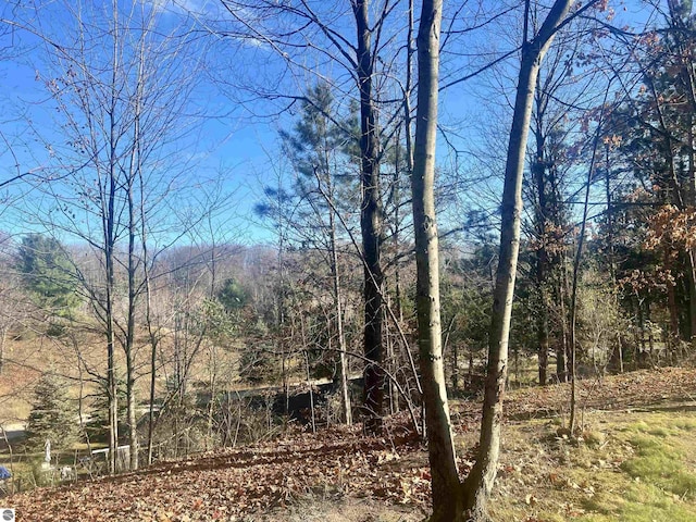 exterior space with a view of trees