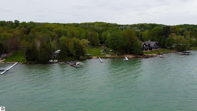 12110 Jonathan Dr, Rapid City, MI 49676 - water view with a forest