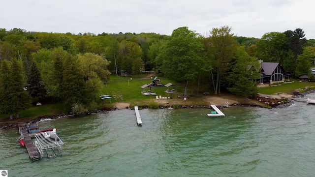 12110 Jonathan Dr, Rapid City, MI 49676 - water view with a forest