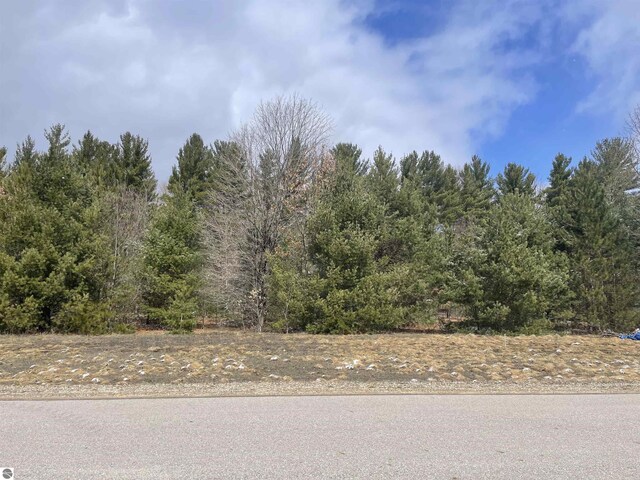 6505 Jeffrey Pl, Grawn, MI 49637