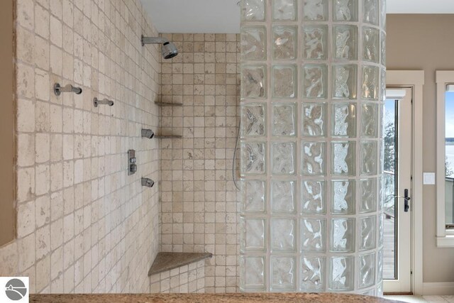 6579 Woods Creek Dr, Charlevoix, MI 49720 - bathroom with a walk in shower