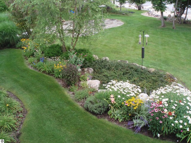 6579 Woods Creek Dr, Charlevoix, MI 49720 - view of yard