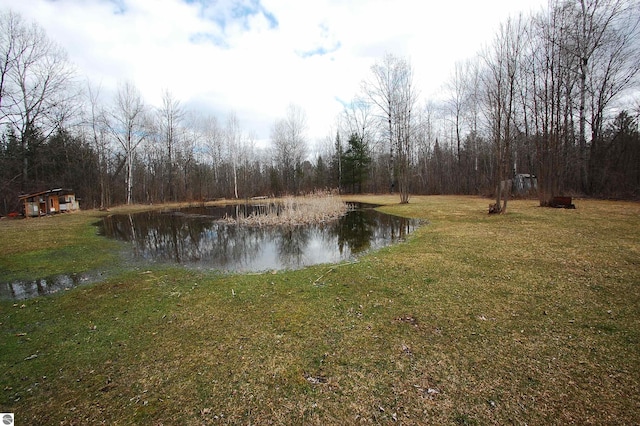 water view with a forest view