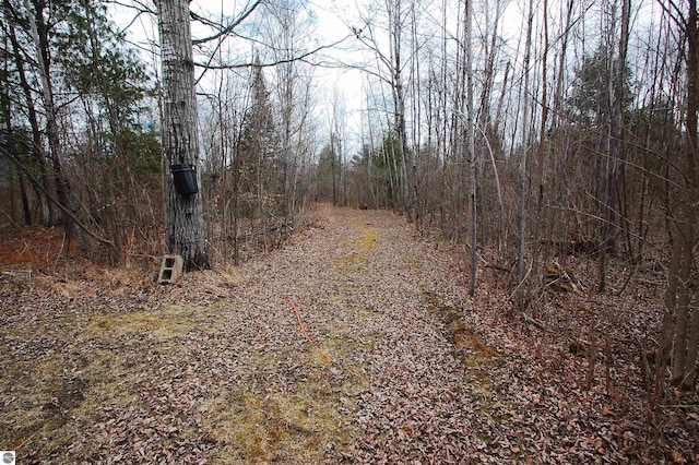 view of road with a view of trees